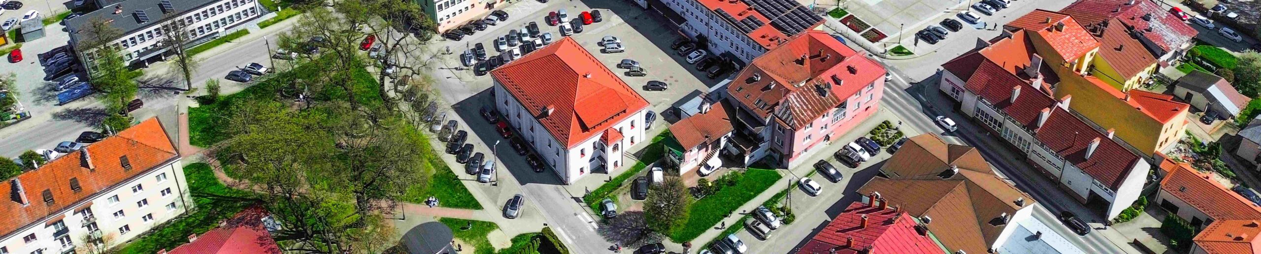 Budynek biblioteki osadzony w panoramie strzyżowa